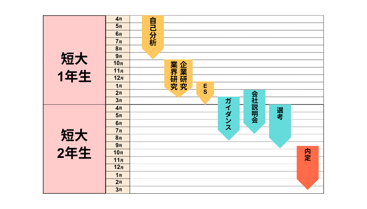 短大生の就活スケジュール