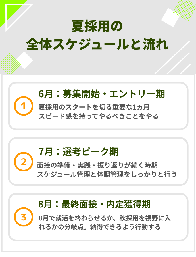 夏採用の全体スケジュールと流れ