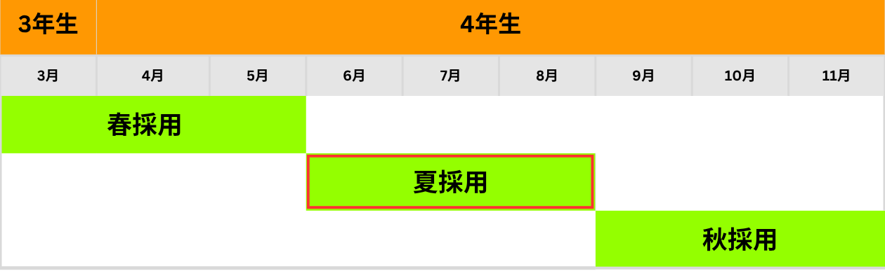 夏採用スケジュール